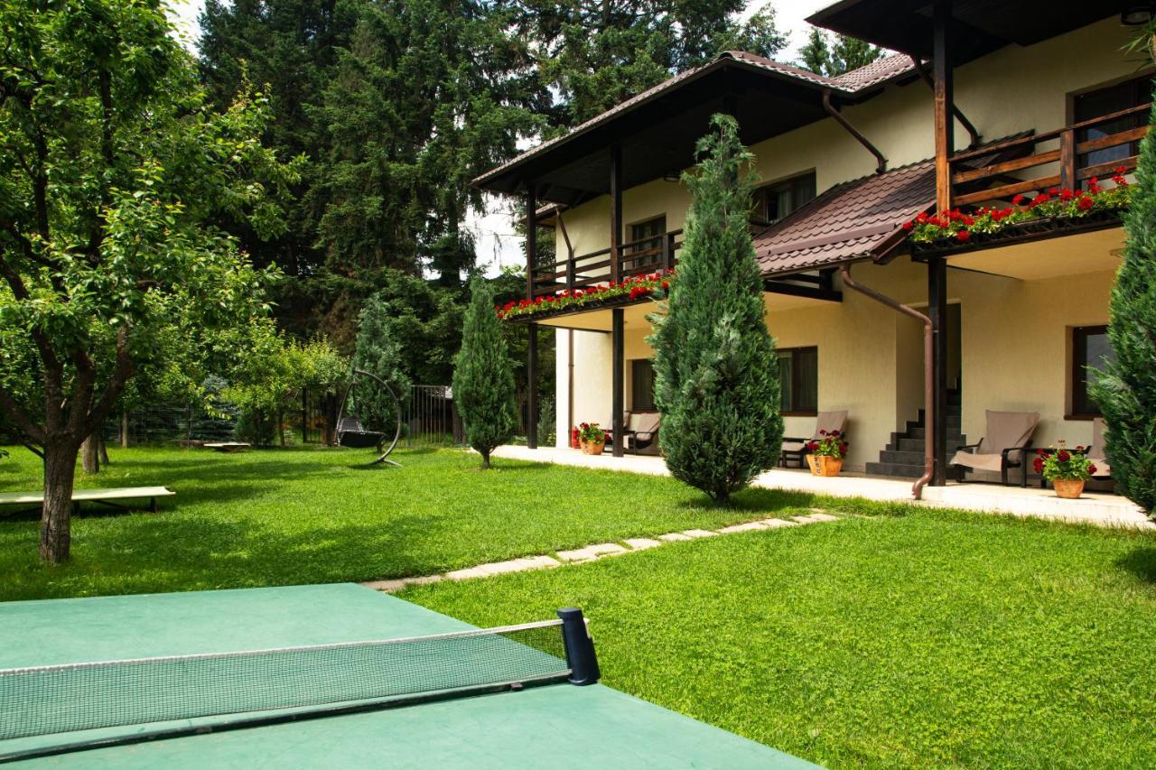 Pension Andra'S House Horezu Exterior photo